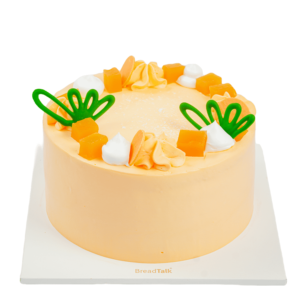 MANGOCOCO CAKE